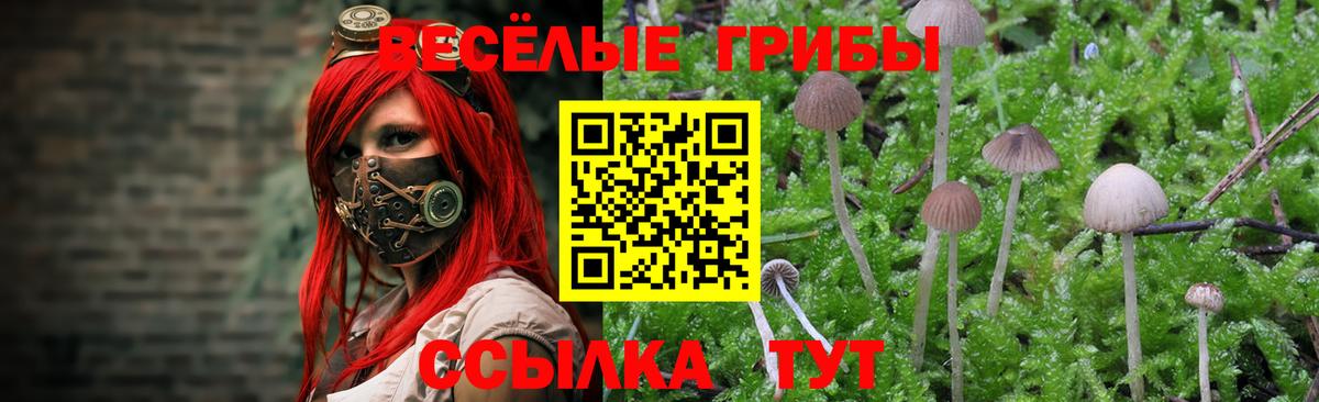 Полевской  Псилоцибиновые грибы мухоморы  Вход с VPN 